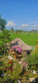 Mantra Yoga Homestay - 2