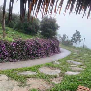 SIM Farmstay - 9