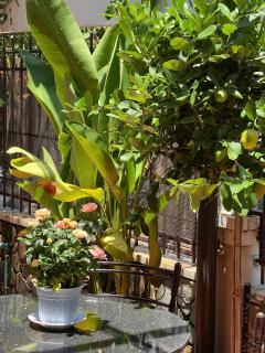 Old Lane Homestay - 3