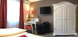Boutiquehotel Goldhahn Bio Sport & Wellness - Aalen - 1