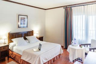 Parador de Manzanares - Manzanares - 7