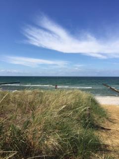 Grosse Kirr - Zingst - 8