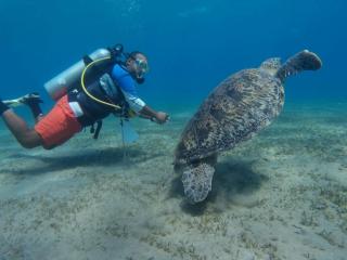 Ocean Stay & Dive - 5