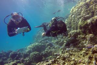 Ocean Stay & Dive - 6