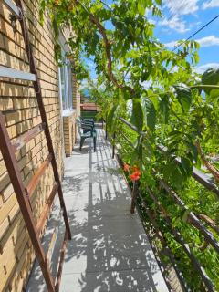 Apartman Royal - 1
