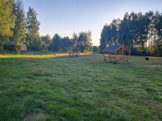 Malowane Wrota Camp - Gniazdko - 1