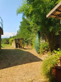 Casa Toscana with Private River 15 min from Lucca - 8