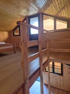 Bakuriani - Mitarbi cottage - 6