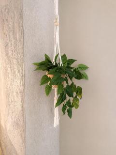Quiet and charming studio apartment - 1