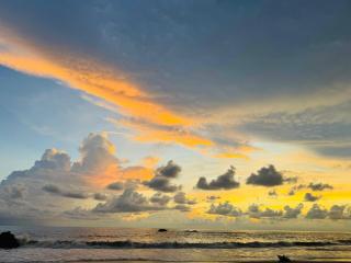 Turtle Tides Villa - 2