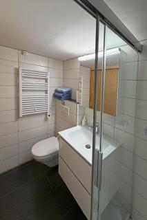Studio bim Chalet bim Chilchli - 4