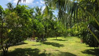 The Dream Inn Guesthouse Pasikudah - 6