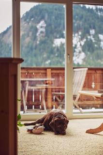 Hotel Hohenfels - 8