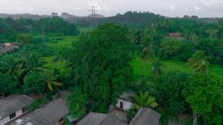 Mee Shade Villa Galle - 9