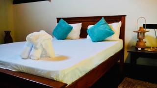 Dambulla Tiger Rock Hotel with Mountain Viewpoint - 5