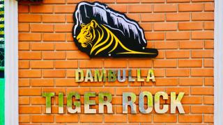 Dambulla Tiger Rock Hotel with Mountain Viewpoint - 0
