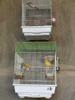 Spacious guesthouse KIND GUEST near metro Beruniy - 1
