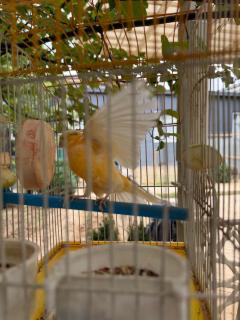Spacious guesthouse KIND GUEST near metro Beruniy - 5