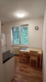 Apartmán pro 4 osoby, Bukovany B2 - 6