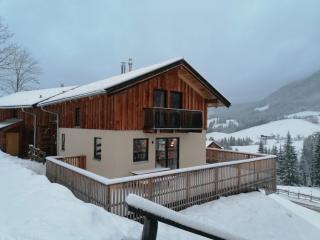 Ruim chalet op top locatie - 5