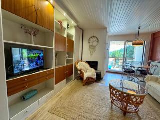 Studio cabine 38m2 pieds des pistes - 6