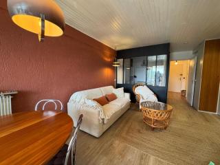 Studio cabine 38m2 pieds des pistes - 5