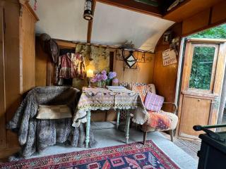 Historischer Zirkuswagen mit Outdoor-Küche und orientalischem Bad - 5