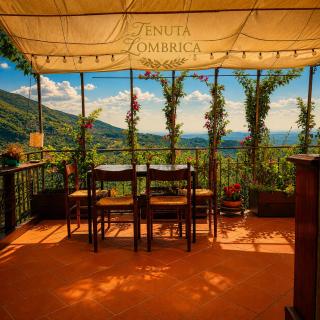 Tenuta Lombrica - 0
