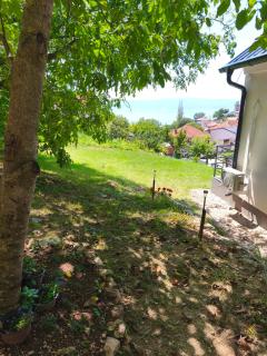 Villa Hristina - 8