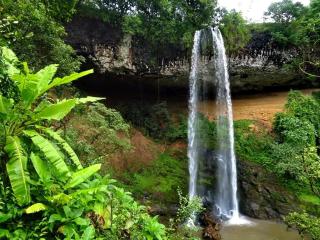 BUSH HOMESTAY&TOURs - 4