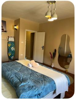 tranquil studio apartment - 0