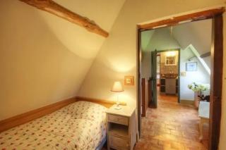 Manoir bleu et biches - 9