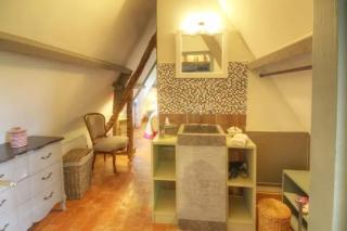 Manoir bleu et biches - 3