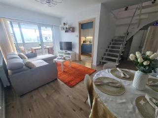 Sona penthouse with private parking - 8
