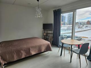 1br Toppilansaaresta Nallikarin läheltä - 8