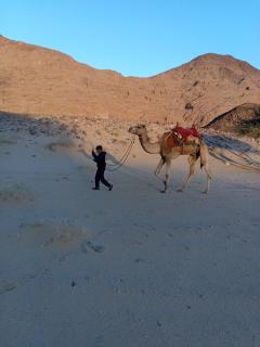 Wadi Rum stars camp - 1
