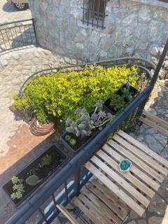 Jasmine Apartment - Herceg Novi - 2