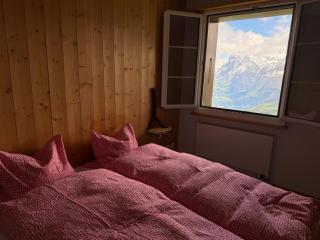 Stöcki-Grindelwaldblick - 7