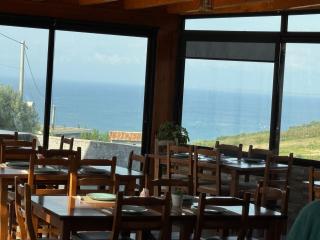 Restorant Hotel Niku - 9