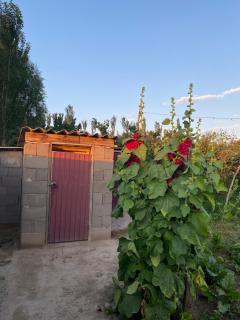 Bloom Guest House - 6