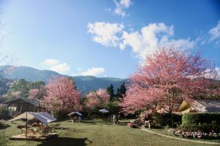 The Garden Inthanon - 0