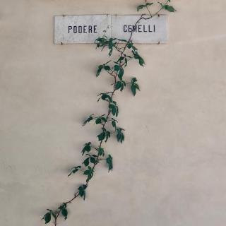 Podere Gemelli Assisi - 9