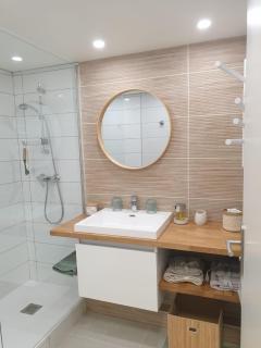 Meylan, T1 cosy & clim, proche Inovallée CHU, UGA - 5