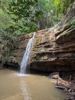Jungle Adventure - 1