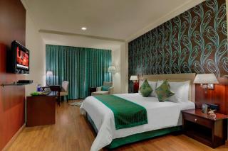 Royalton Hyderabad Abids - Hyderabad - 0