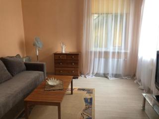 One-room apartment with a territory - 0