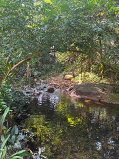 Jungle Villa Khao Lak - 1