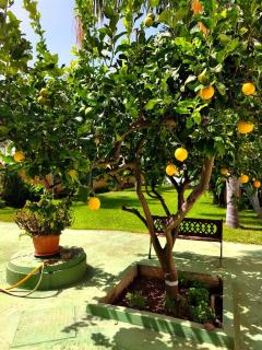 Villa Angela - 1