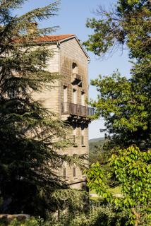 Domaine Le Mouflon D'Or - Zonza - 3