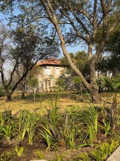 Villa Euris Guesthouse - 9